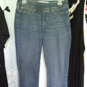 🌠 #115 Signature Levi Strauss Gold Totally Shaping Pull On Skinny Jean